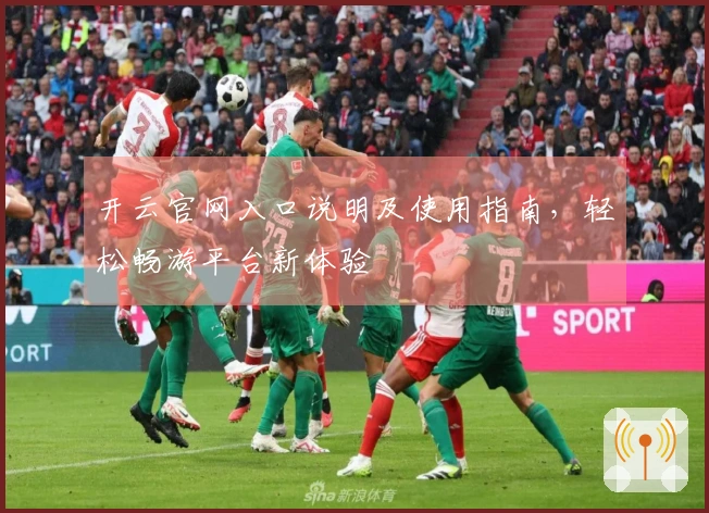 开云官网入口说明及使用指南，轻松畅游平台新体验